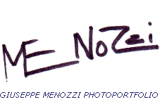 Logo Menozzi